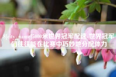 陵水5000米世界冠军配速-世界冠军们往往能在比赛中巧妙地分配体力