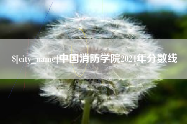 陵水中国消防学院2024年分数线