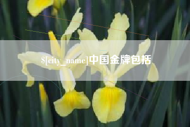 陵水中国金牌包括