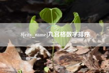 陵水九宫格数字排序