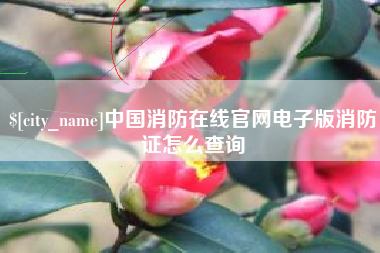 陵水中国消防在线官网电子版消防证怎么查询