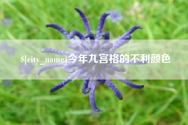 陵水今年九宫格的不利颜色