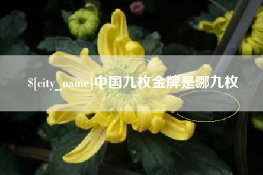 陵水中国九枚金牌是哪九枚