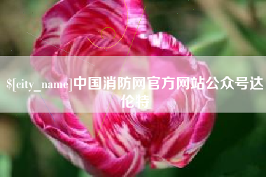 陵水中国消防网官方网站公众号达伦特