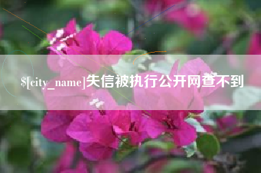 陵水失信被执行公开网查不到