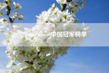 陵水中国冠军榜单