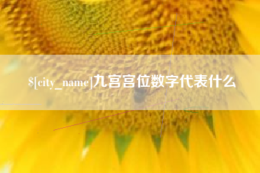 陵水九宫宫位数字代表什么