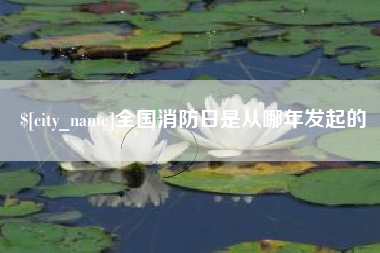 陵水全国消防日是从哪年发起的
