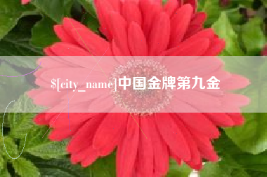 陵水中国金牌第九金