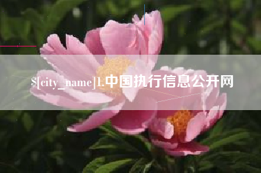 陵水1.中国执行信息公开网
