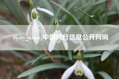 陵水中国执行信息公开网询