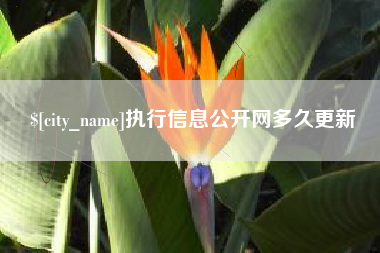 陵水执行信息公开网多久更新