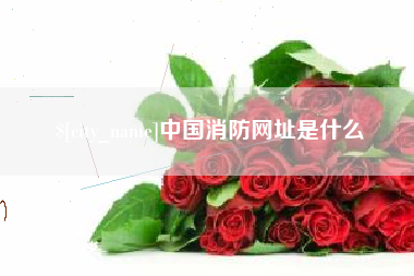 陵水中国消防网址是什么