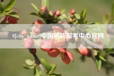 陵水中国消防报考中心官网