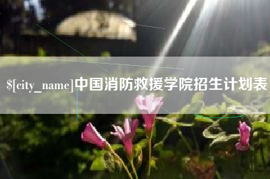 陵水中国消防救援学院招生计划表