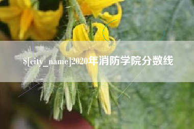 陵水2020年消防学院分数线