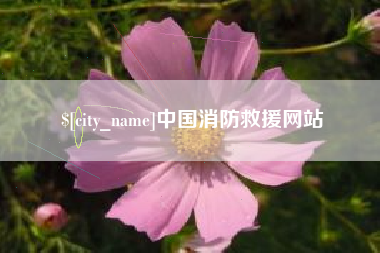 陵水中国消防救援网站