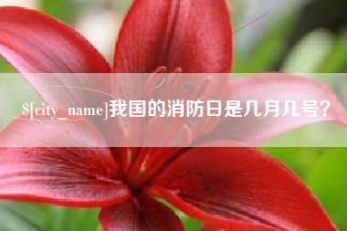 陵水我国的消防日是几月几号？