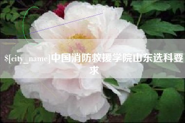陵水中国消防救援学院山东选科要求