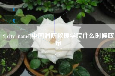陵水中国消防救援学院什么时候政审
