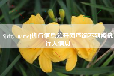 陵水执行信息公开网查询不到被执行人信息