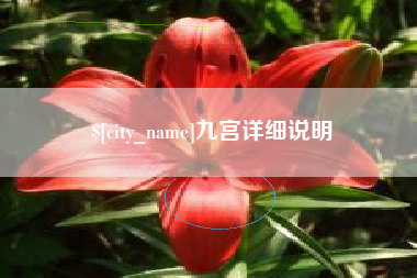 陵水九宫详细说明