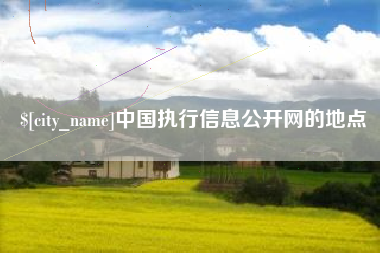 陵水中国执行信息公开网的地点