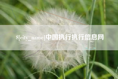 陵水中国执行执行信息网