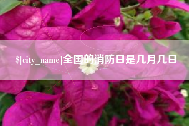 陵水全国的消防日是几月几日