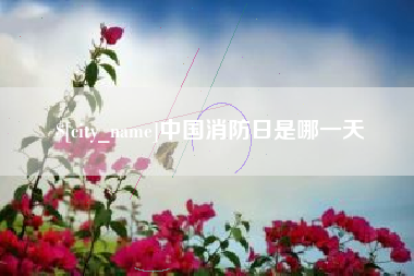 陵水中国消防日是哪一天