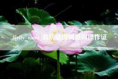陵水消防证国网查询操作证