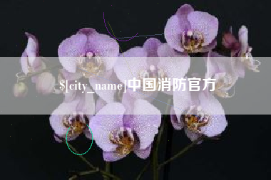 陵水中国消防官方