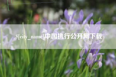 陵水中国执行公开网下载