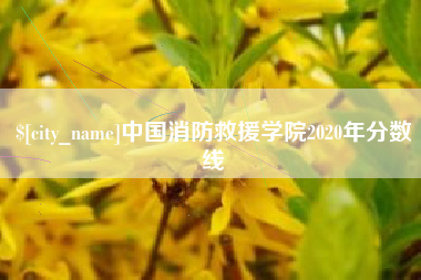 陵水中国消防救援学院2020年分数线