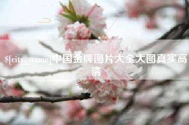 陵水中国金牌图片大全大图真实高清