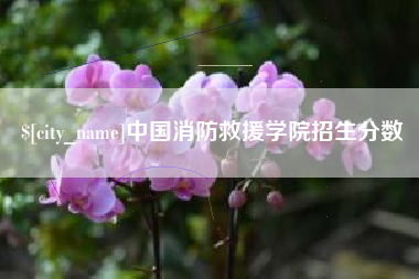 陵水中国消防救援学院招生分数