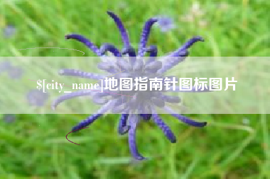 陵水地图指南针图标图片
