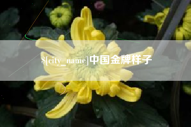陵水中国金牌样子