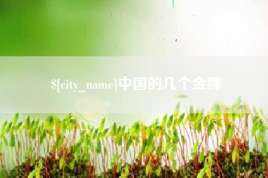 陵水中国的几个金牌
