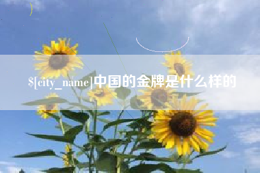 陵水中国的金牌是什么样的