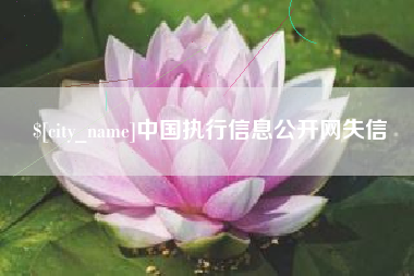 陵水中国执行信息公开网失信