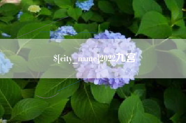 陵水2022九宫