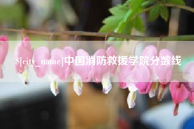 陵水中国消防救援学院分数线