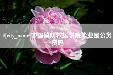 陵水中国消防救援学院毕业是公务员吗