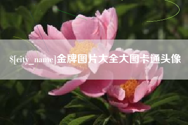 陵水金牌图片大全大图卡通头像