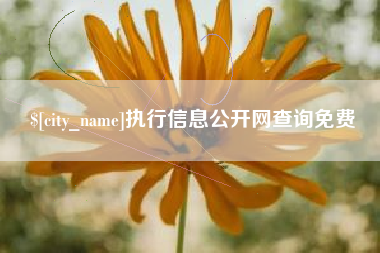 陵水执行信息公开网查询免费